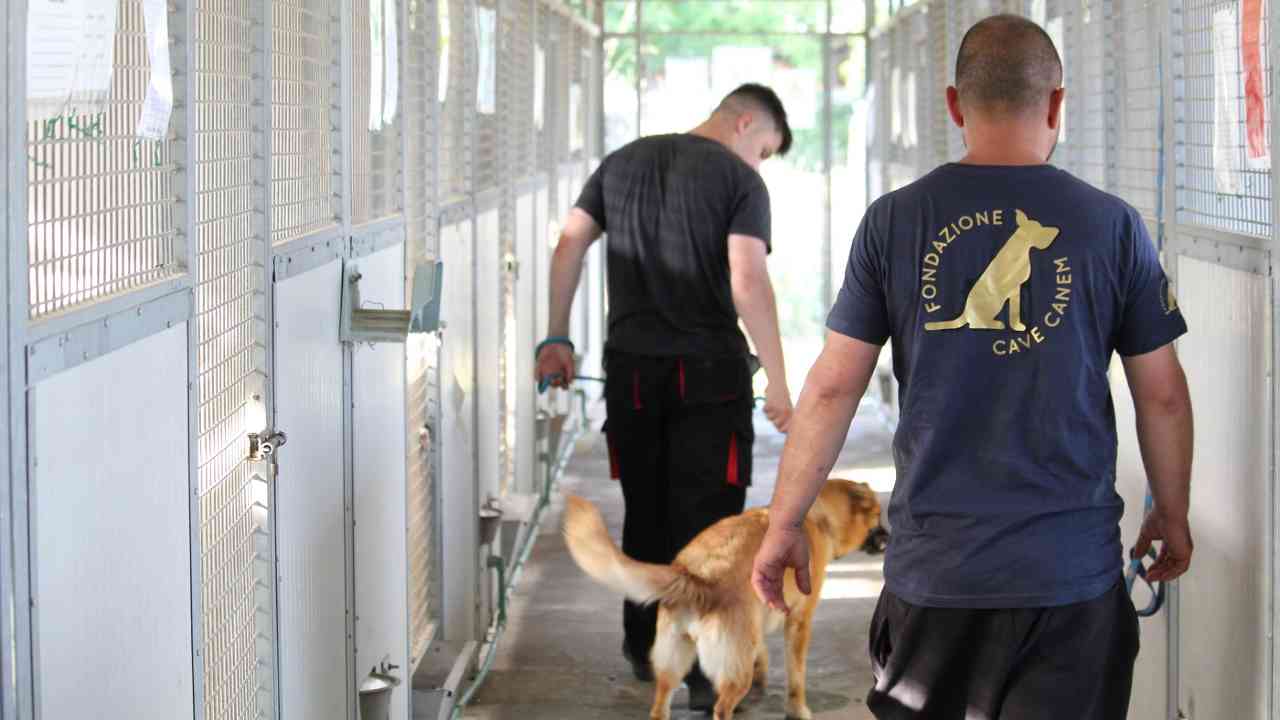 Fondazione Cave Canem