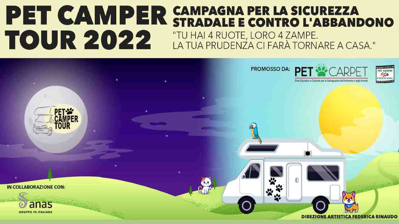 Pet Camper Tour