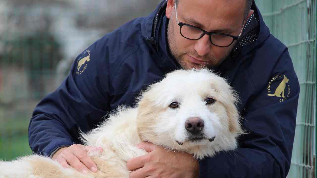 Cave Canem progetti