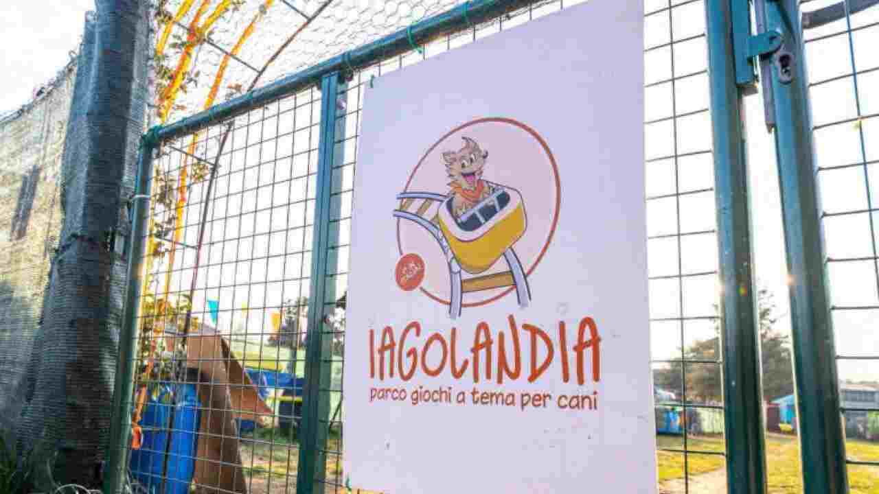 Iagolandia Parco Giochi cani