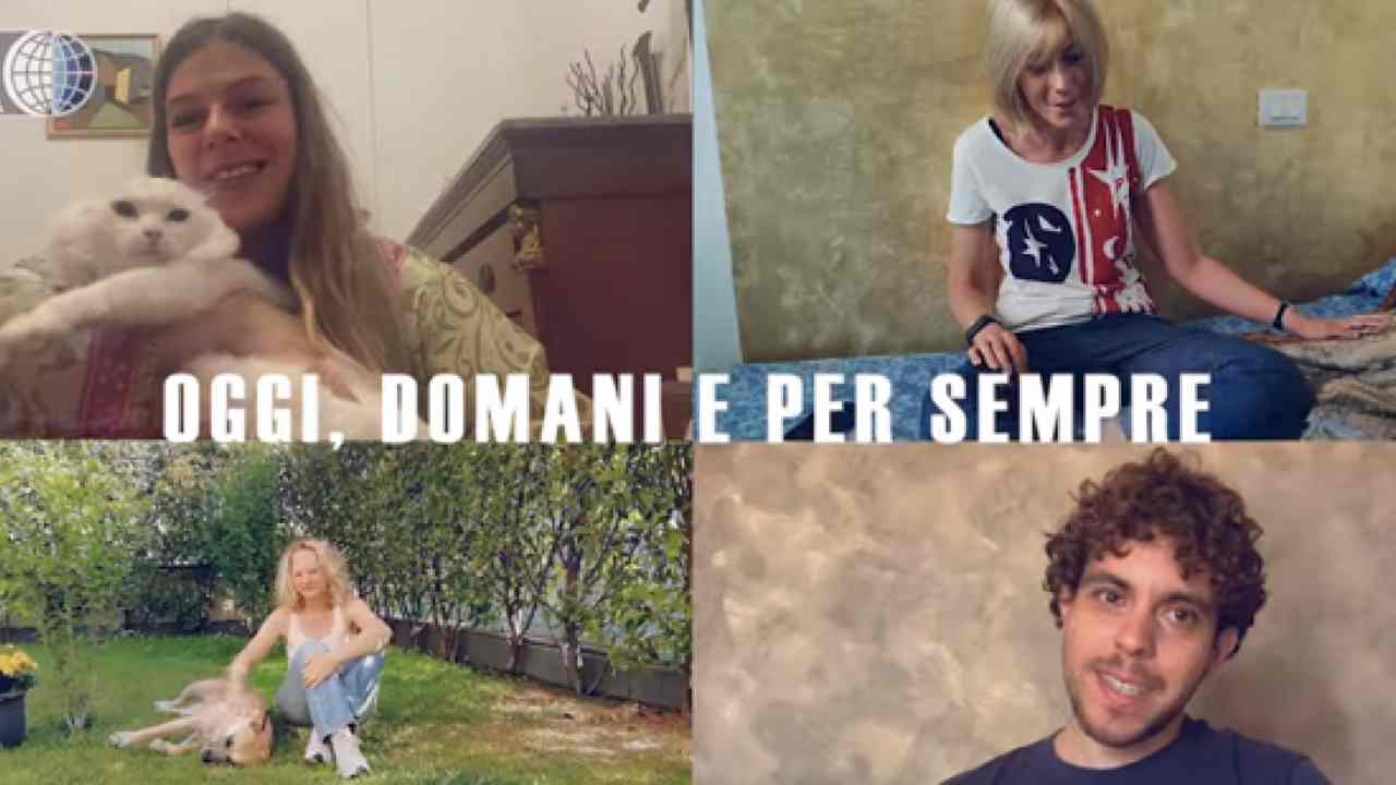abbandono cani campagna Oipa