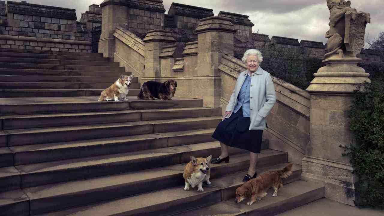 Cani Corgi Regina Elisabetta II