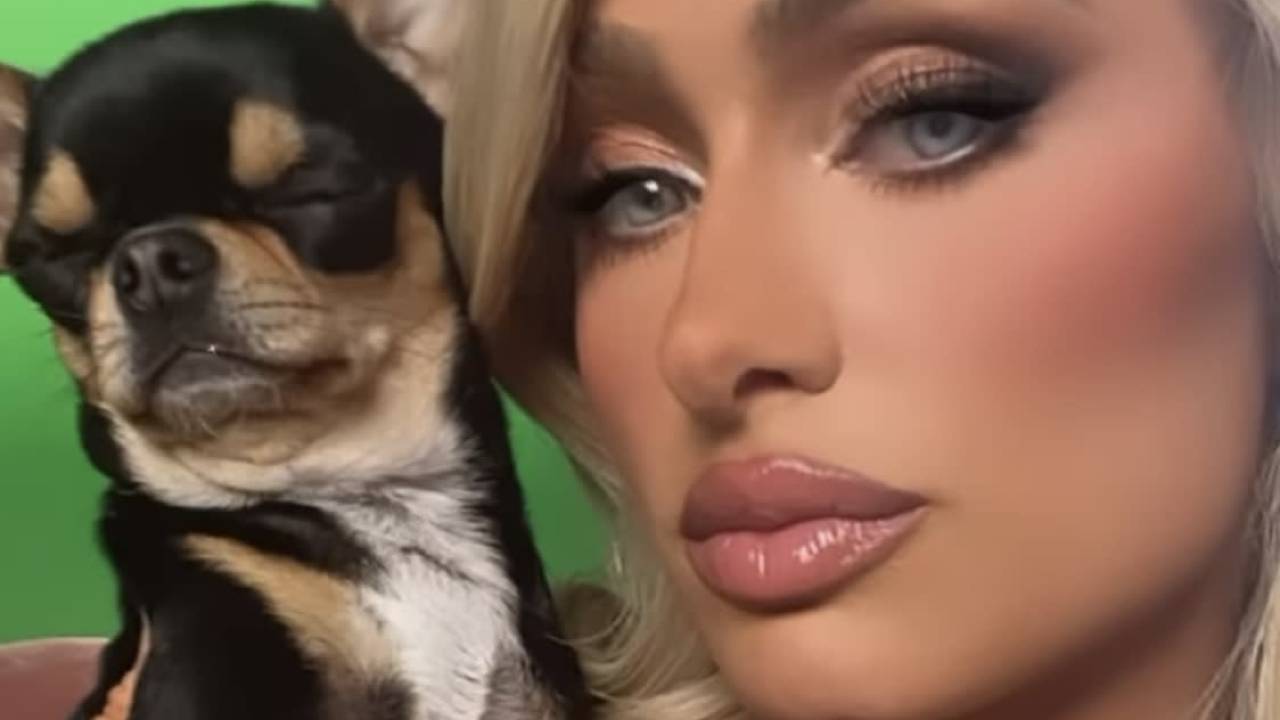 Paris Hilton cane disperso appello
