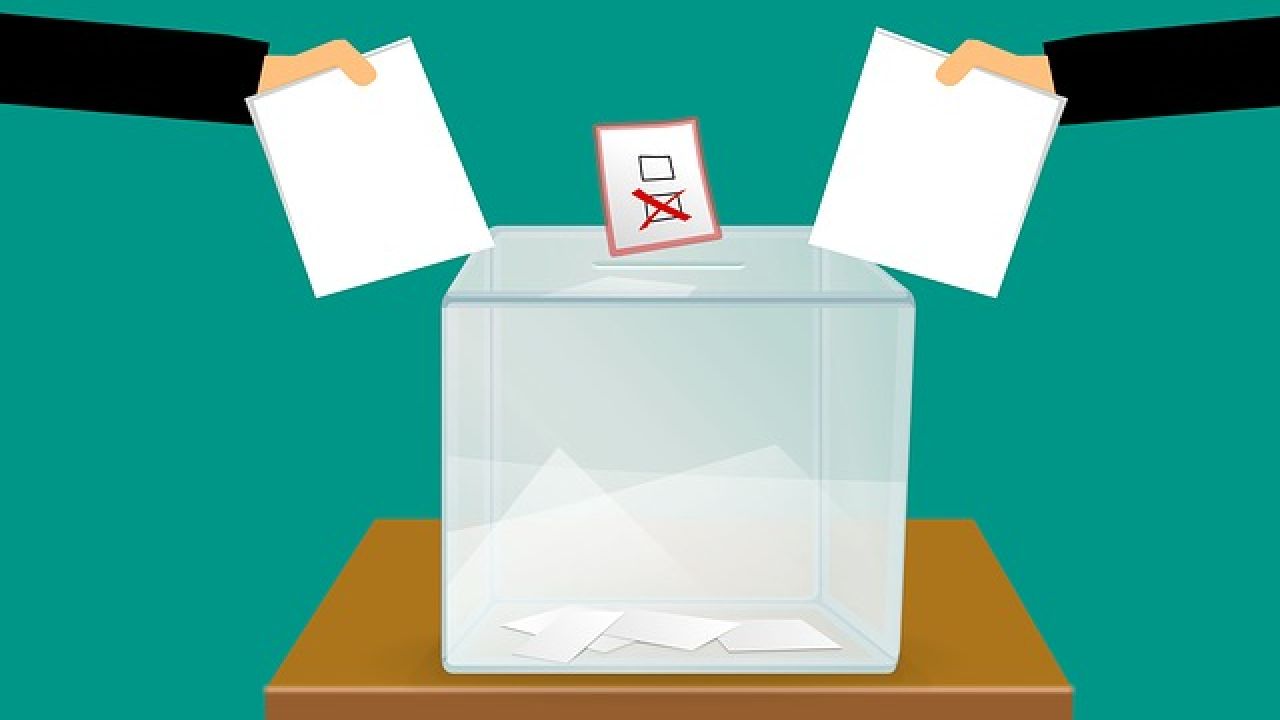 elezioni tutela animali