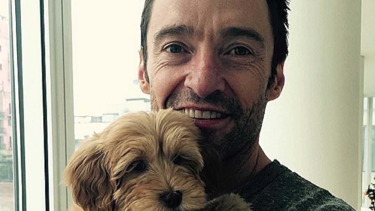 Hugh Jackman