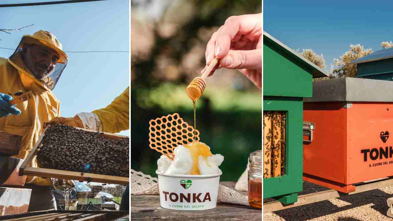 api miele gelato progetto BeeTonka