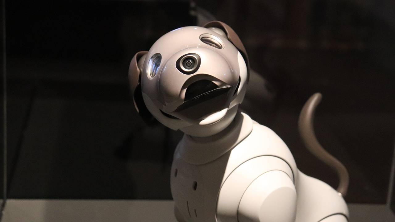 cane robot giocattolo