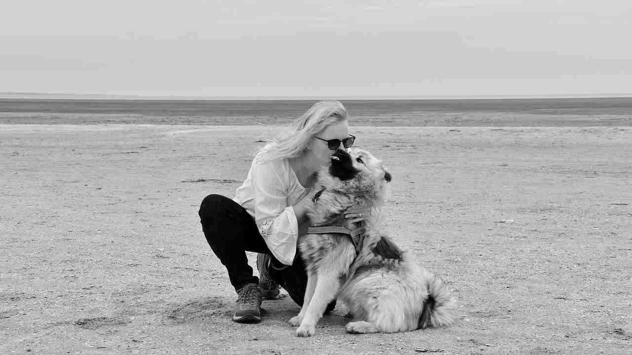 Contagio emotivo tra uomo e cane