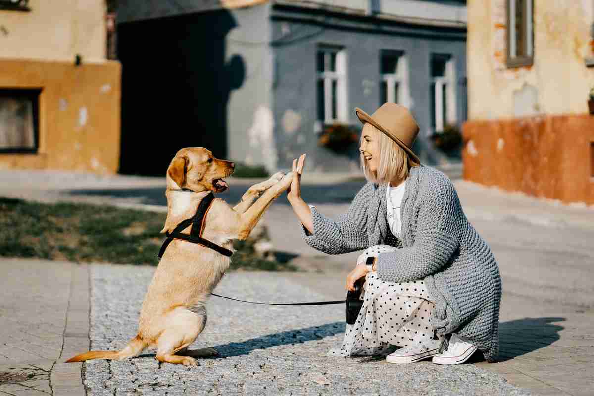 Intelligenza artificiale e parlare con gli animali