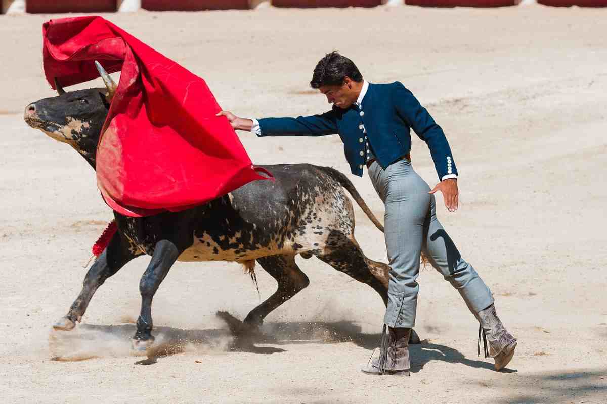 Corrida, toro e toreador