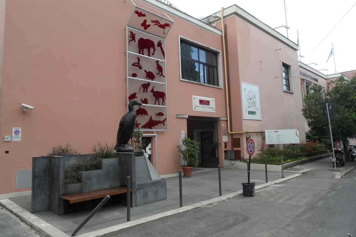 Museo Civico Zoologico di Roma