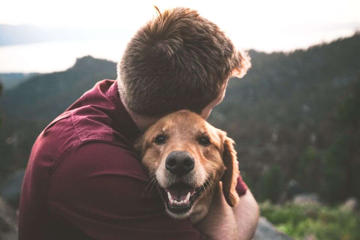 Pet Day