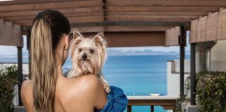 Cani Hotel oggetti obbligatori che non devono mancare