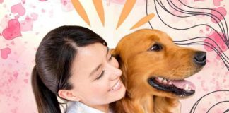 Come fare per dimostrare affetto al cane