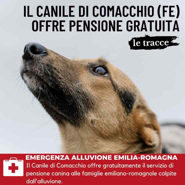 Animali Emilia Romagna