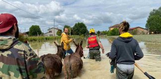 Emilia Romagna animali