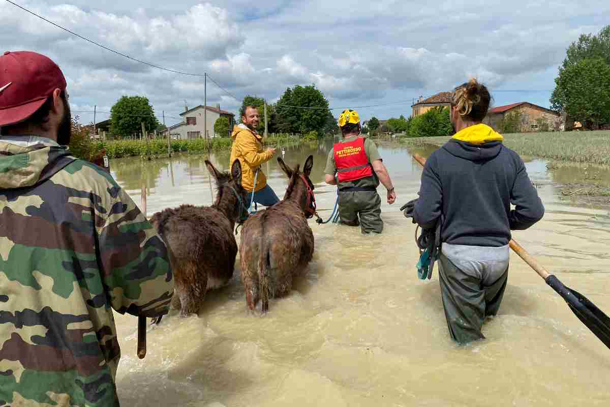 Emilia Romagna animali