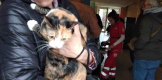 Emilia Romagna emergenza animali