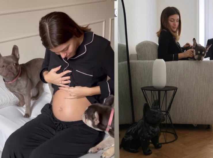 Natalia Paragoni gravidanza cuccioli