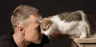 Come capire se il tuo gatto si fida di te
