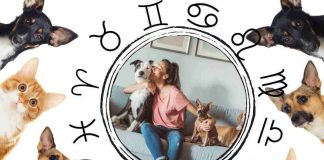 Segni zodiacali, scopri il tuo animale da compagnia di riferimento