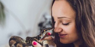 Serpenti domestici topi alimentazione come invogliarli a mangiare