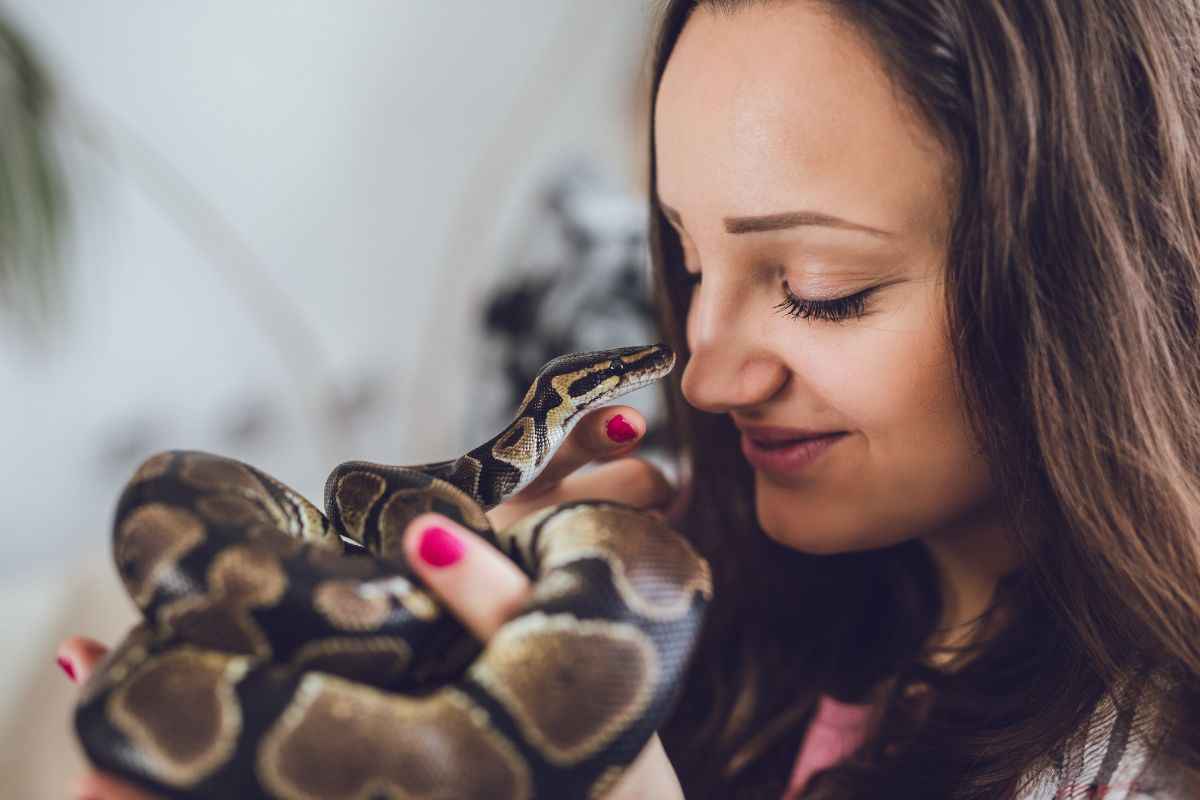 Serpenti domestici topi alimentazione come invogliarli a mangiare