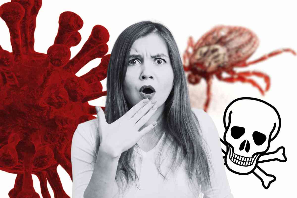 zecca malattia powassan virus sintomi