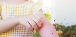 Zanzare come tenerle lontano dai bambini prodotti