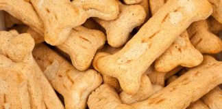 biscotti cani fare in casa ingredienti