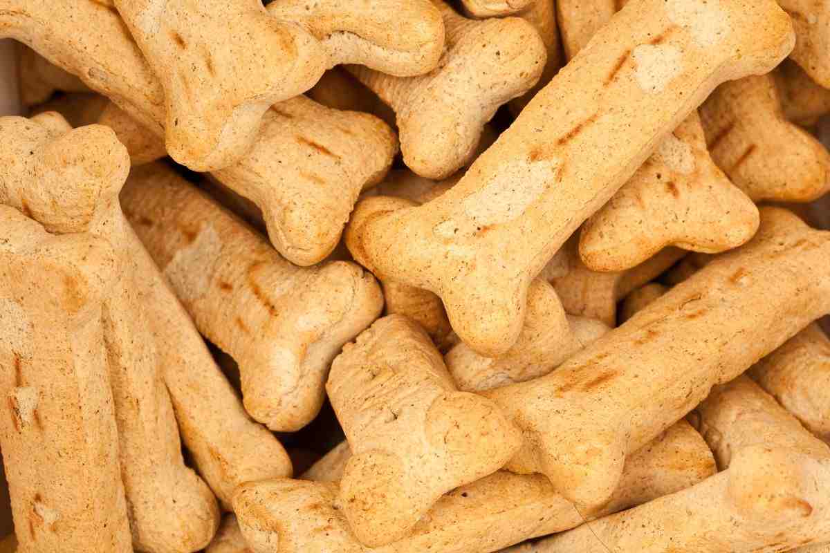 biscotti cani fare in casa ingredienti