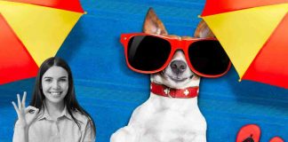 Spiagge pet friendly 2023 migliori