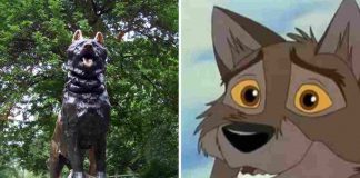 Cane Balto