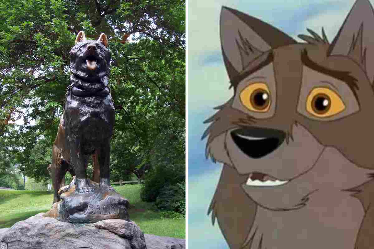 Cane Balto