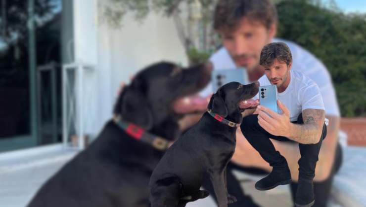 che cane ha stefano de martino