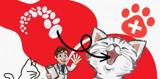 come somministrare pastiglia al gatto
