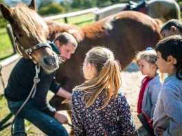 Animali e bambini cavalli benefici