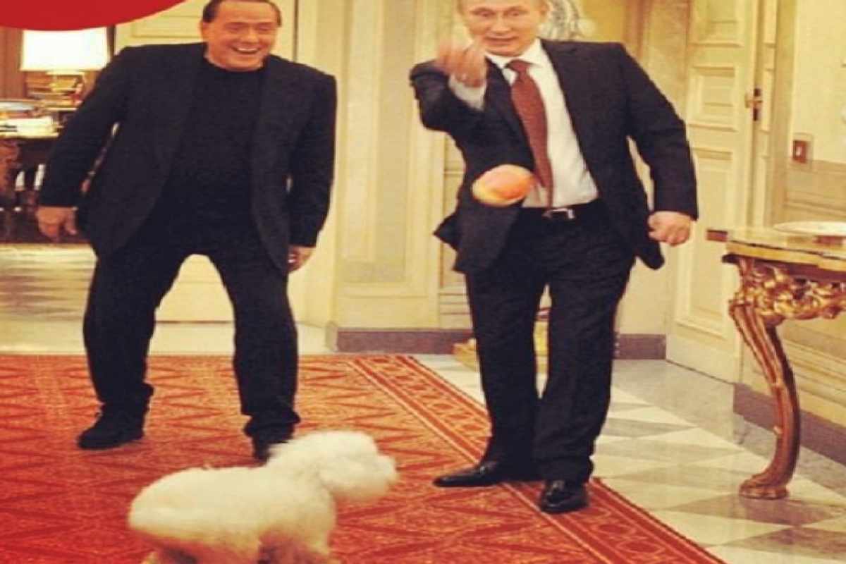 silvio berlusconi cani dudu