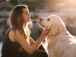 Cane legame sentimenti comportamento uomo
