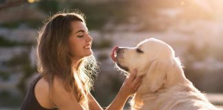 Cane legame sentimenti comportamento uomo