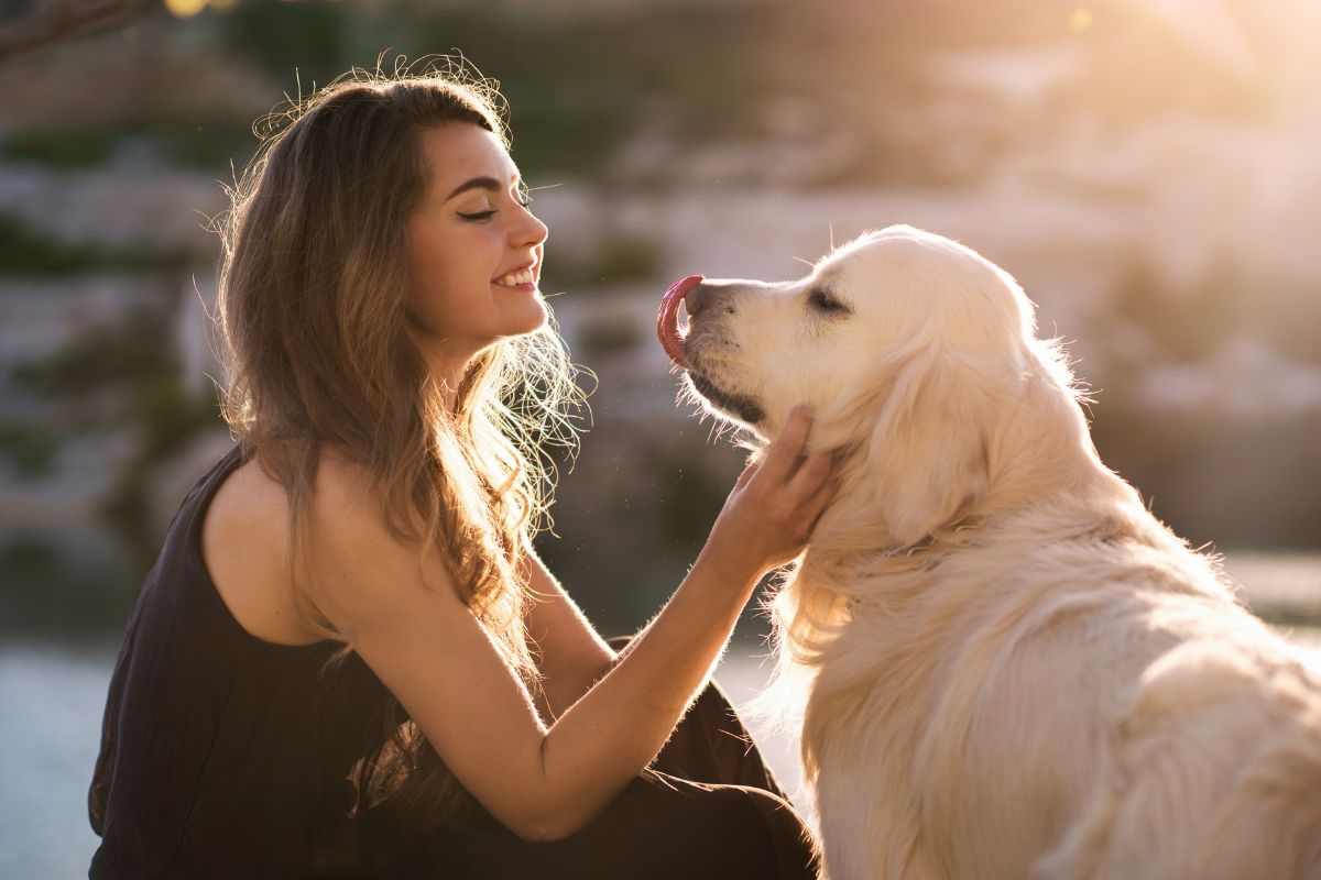 Cane legame sentimenti comportamento uomo