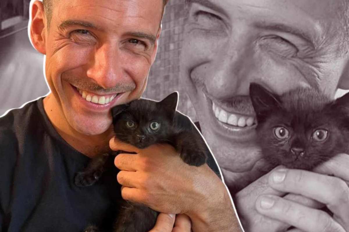 Francesco Gabbani nuovo arrivo gattina Marmellata