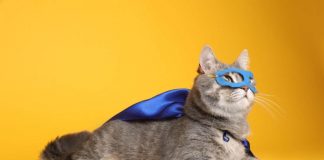 Gatto superpoteri abilità