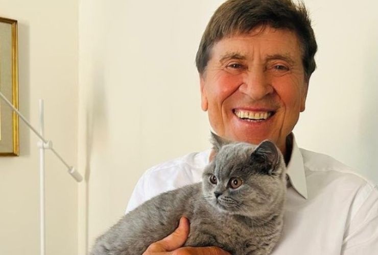 Gianni Morandi gatto Lucio