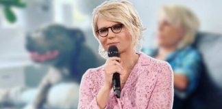 Maria De Filippi razza di cane preferita