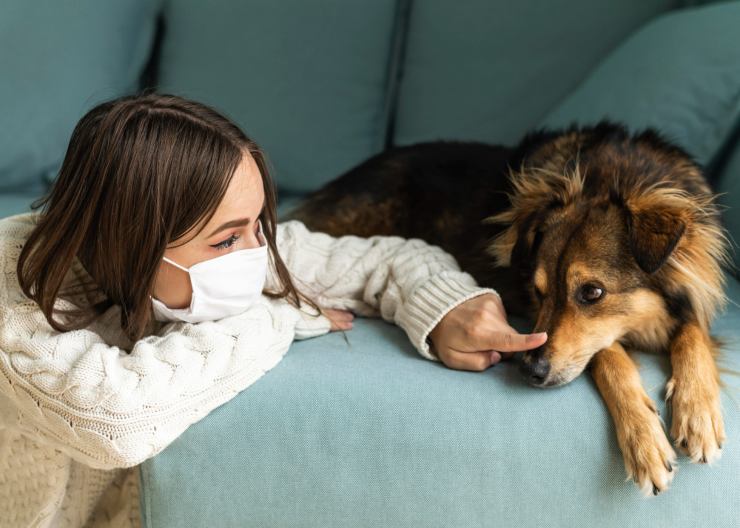 Cani per chi soffre di allergia