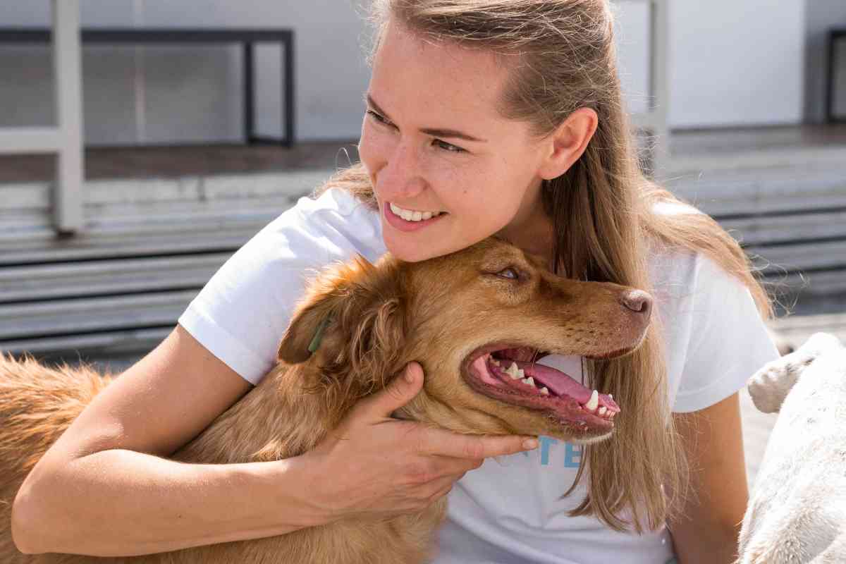 pensioni per cani e gatti come scegliere quella migliore