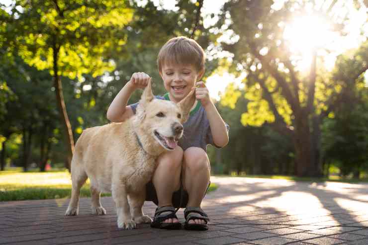 Il beneficio della pet therapy