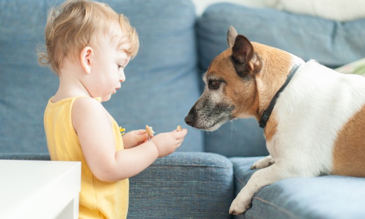 bambino cane crescere insieme vantaggi benefici