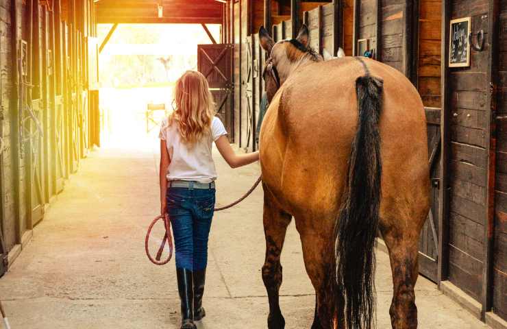 avere un cavallo spese adottare cavallo